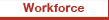 workforce